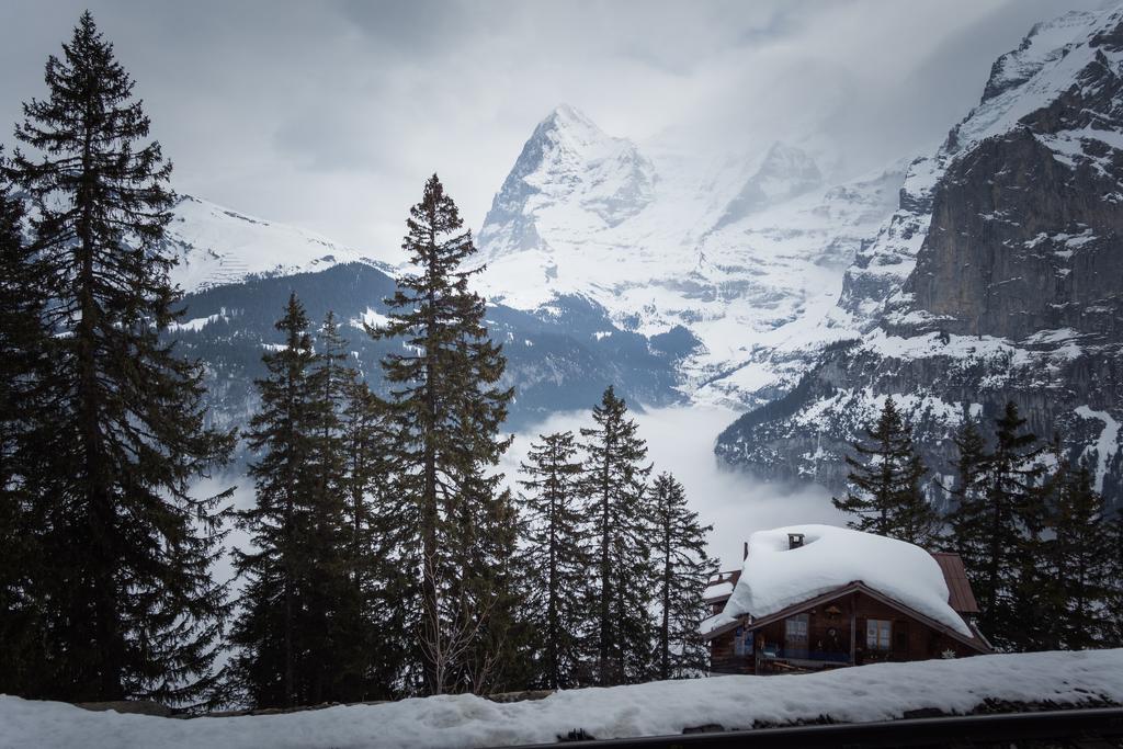 Hotel Alpenblick Muerren Exterior photo