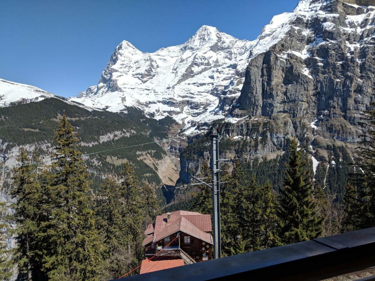 Hotel Alpenblick Muerren Exterior photo